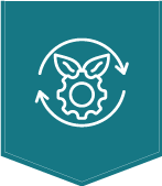 icon-6